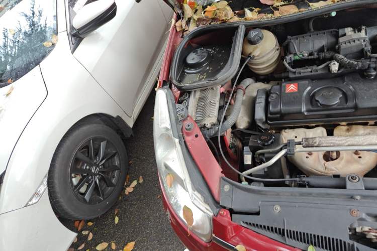 Used Citroen C2 2010 1.4L Manual Comfort Edition Engine Bay Right