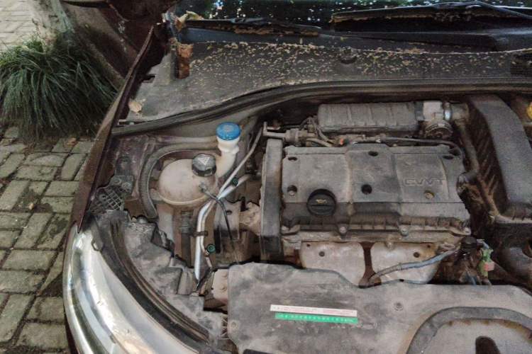 Used Citroen C3-XR 2015 1.6L Manual Pioneer Model Engine Bay Right