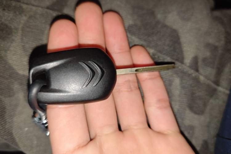 Used Citroen C3-XR 2015 1.6L Manual Pioneer Model Vehicle Key