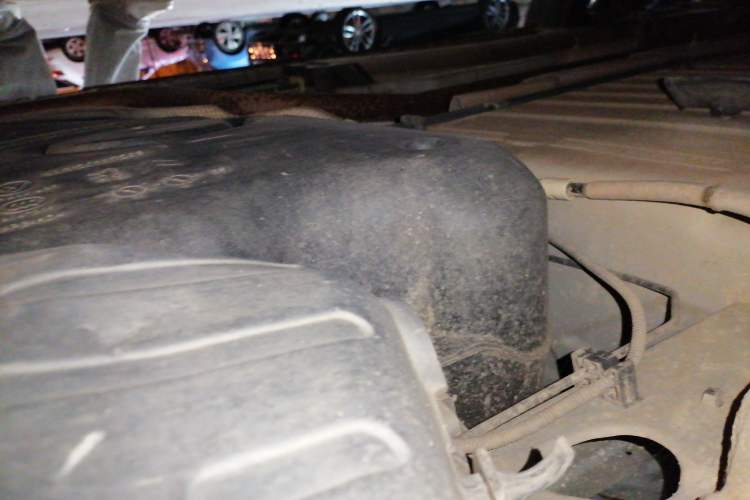 Used Citroen C3-XR 2015 1.6L Automatic Pioneer Model Chassis Rear Left