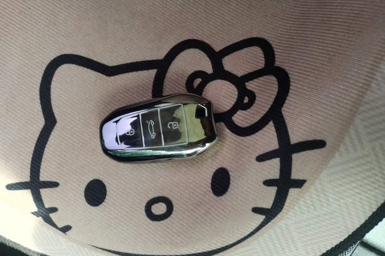 Used Citroen C3-XR 2015 1.6THP Automatic Flagship Model Vehicle Key