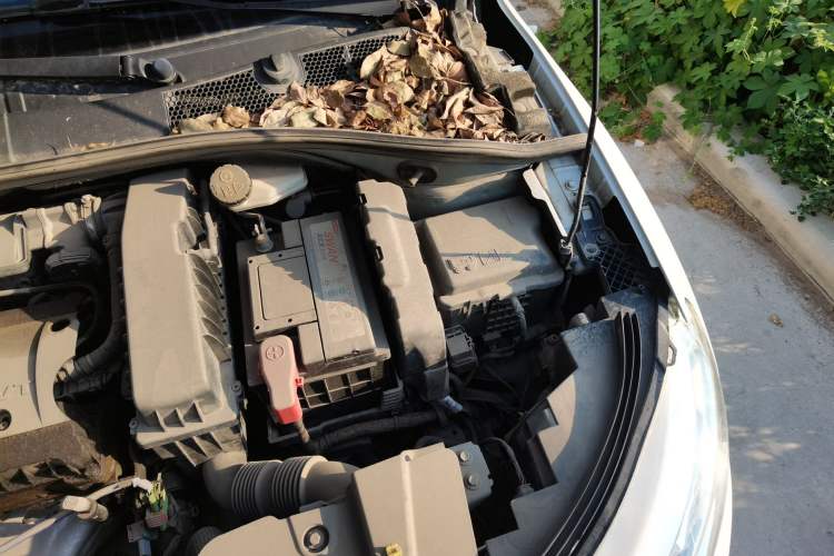 Used Citroen C3-XR 2017 1.6L Automatic Fashion Model Engine Bay Left