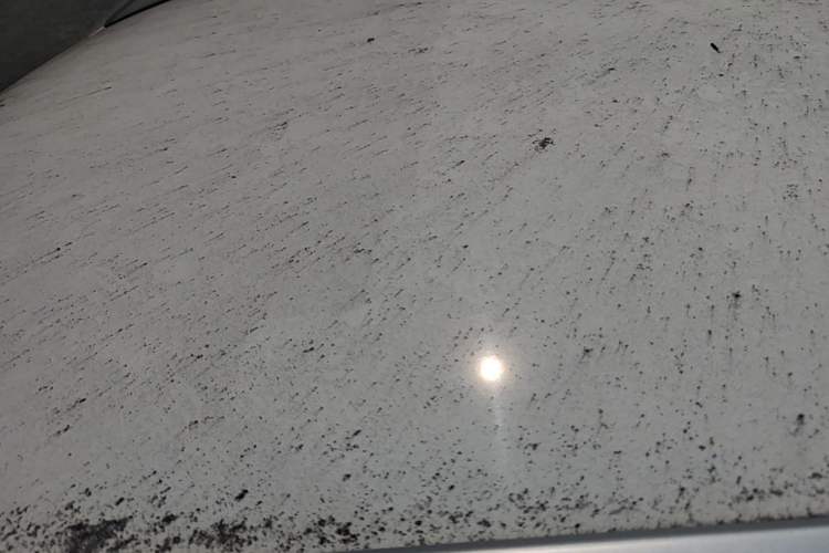 Used Citroen C3-XR 2017 1.6L Automatic Fashion Model Roof