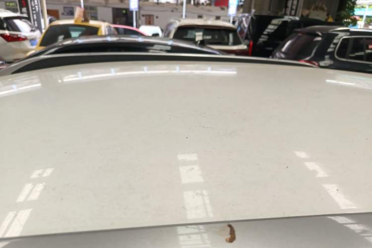 Used Citroen C3-XR 2017 230THP Manual Pioneer Edition Roof
