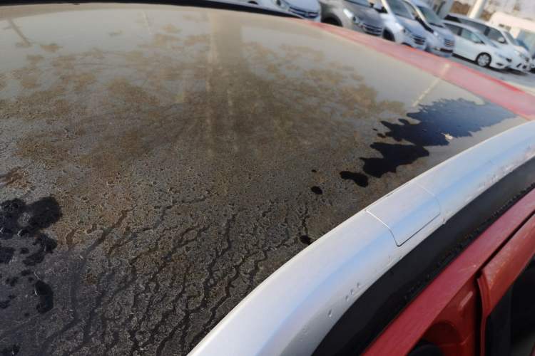 Used Citroen C3-XR 2019 190THP Automatic Xueying Edition Roof