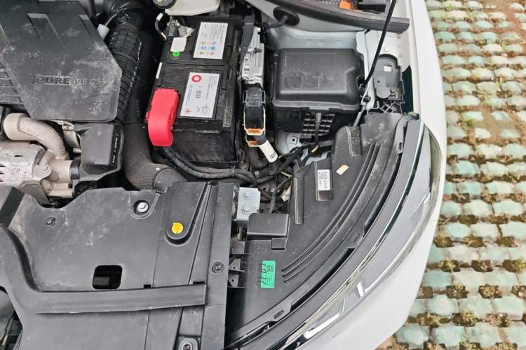 Used Citroen C3-XR 2021 190THP DCT ZhiShang Edition Engine Bay Left