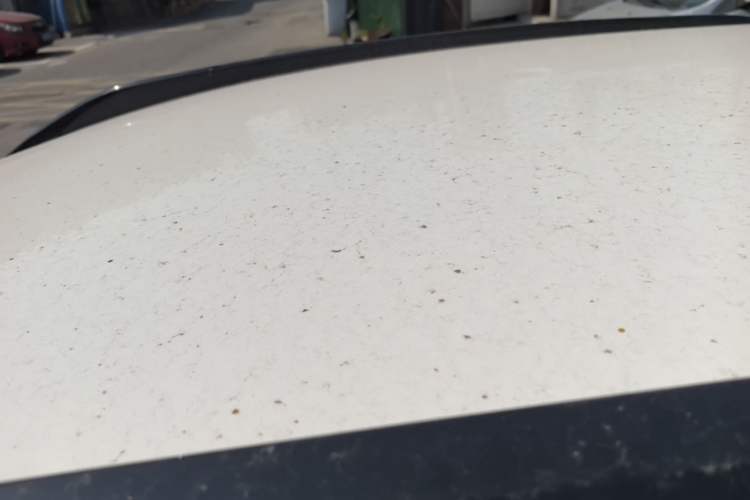 Used Citroen C3-XR 2021 190THP DCT ZhiShang Edition Roof