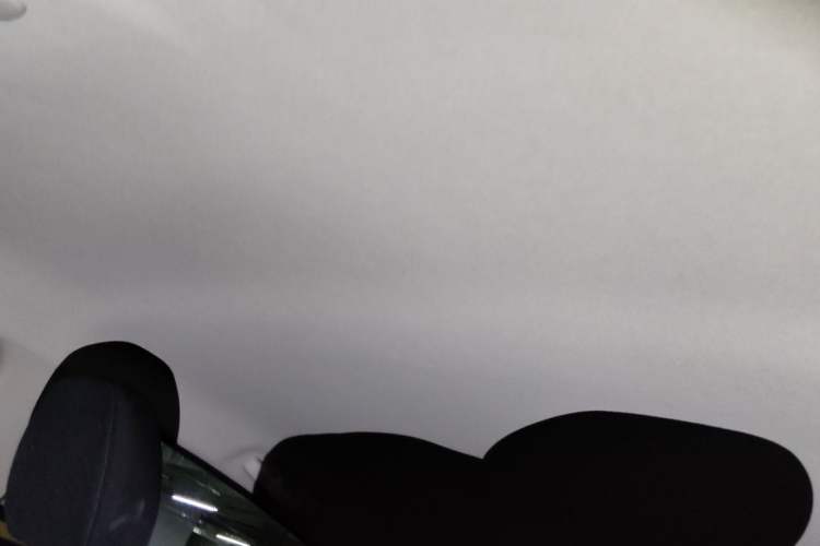 Used Citroen C3L 2020 190THP Automatic RuiSheng Edition Headliner