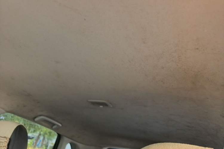 Used Citroen C4 Aircross 2013 2.0L Two-Wheel Drive Comfort Edition Headliner