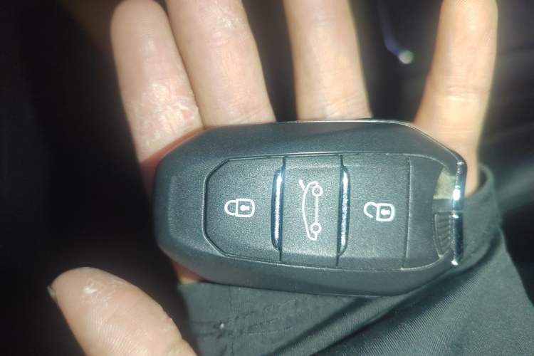 Used Citroen C4 Picasso 2015 Grand 1.6T Luxury 7-Seater Vehicle Key