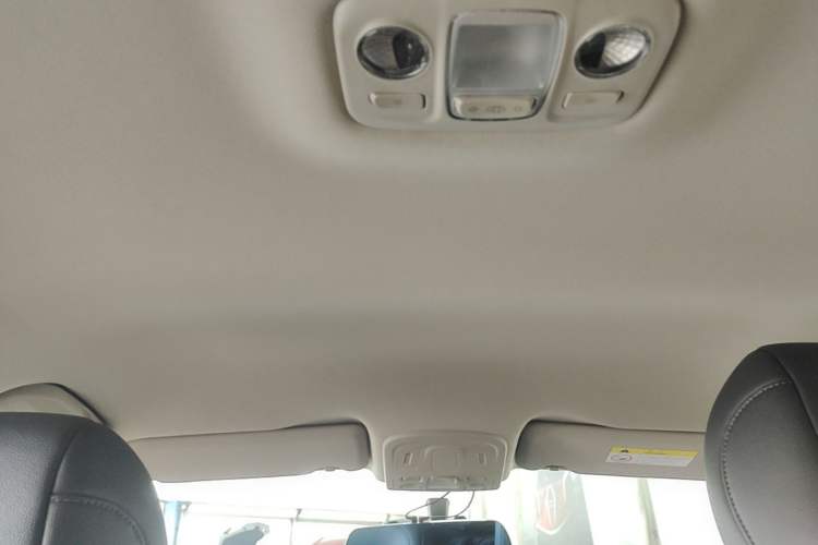 Used Citroen C4 Sega 2016 1.6L Automatic Luxury Model Headliner