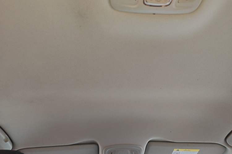 Used Citroen C4 Sega 2016 1.6L Manual Luxury Model Headliner