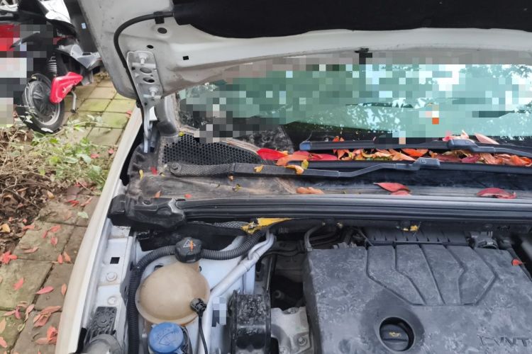 Used Citroen C4 Sega 2016 1.6L Manual Luxury Model Engine Bay Right