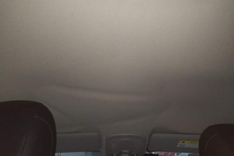 Used Citroen C4 Sega 2016 1.6L Automatic Luxury Model Headliner