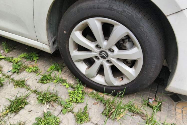 Used Citroen C4 Sega 2016 1.6L Automatic Comfort Model Right Front Wheel Hub
