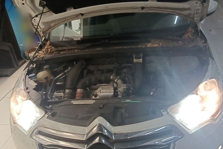 Used Citroen C4L 2014 1.6THP Intelligent Drive Automatic Dynamic Model Engine Bay
