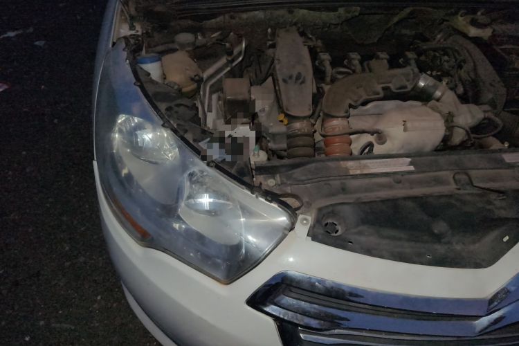 Used Citroen C4L 2014 1.6THP Intelligent Drive Automatic Dynamic Model Engine Bay Right