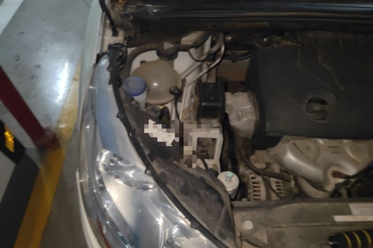 Used Citroen C4L 2014 1.8L Intelligent Drive Manual Enjoyment Model Engine Bay Right
