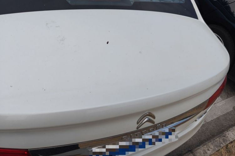 Used Citroen C4L 2014 1.6THP Intelligent Drive Automatic Dynamic Model Trunk