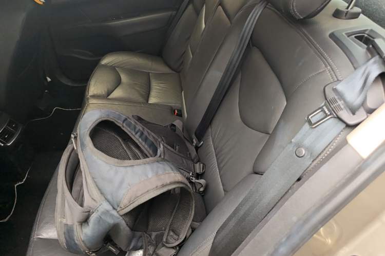 Used Citroen C4L 2015 1.8L Automatic Prestige Edition Left Rear Seat