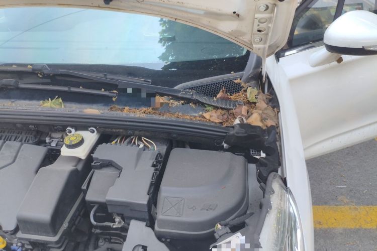 Used Citroen C4L 2015 1.8L Automatic Luxury Edition Engine Bay Left
