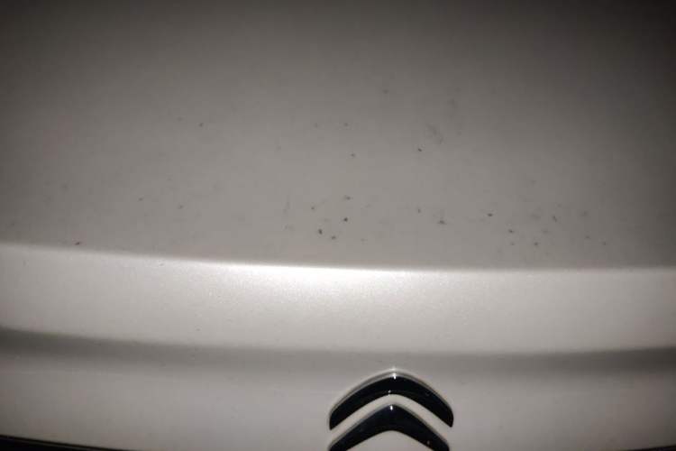 Used Citroen C4L 2015 1.8L Automatic Leading Edition Trunk
