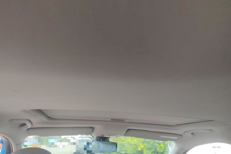Used Citroen C5 2012 2.0L Automatic Luxury Edition Headliner