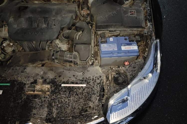 Used Citroen C5 2014 2.0L Automatic Luxury Edition Engine Bay Left