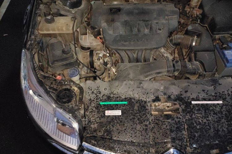 Used Citroen C5 2014 2.0L Automatic Luxury Edition Engine Bay Right