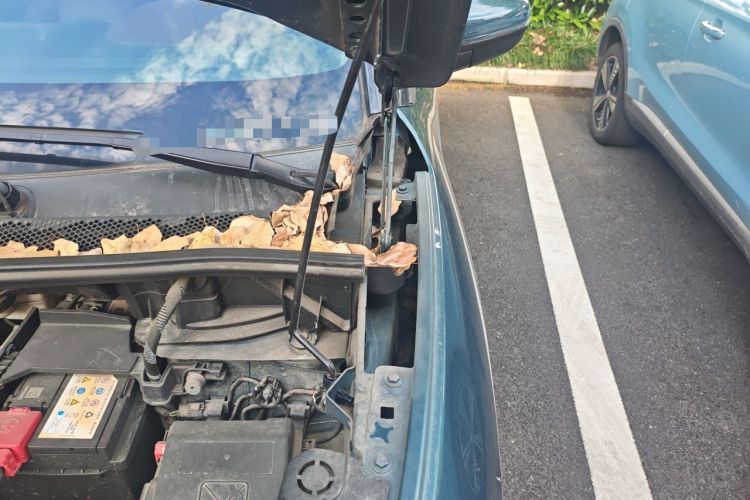 Used Citroen C5 AIRCROSS 2017 380THP Flagship Edition Engine Bay Left