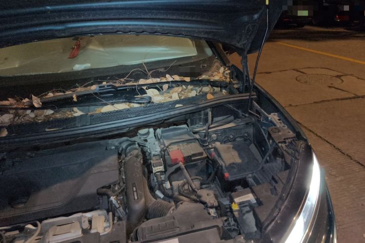 Used Citroen C5 AIRCROSS 2019 360THP Enjoyment Model China VI Standard Engine Bay Left