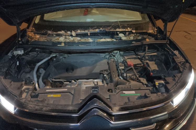 Used Citroen C5 AIRCROSS 2019 360THP Enjoyment Model China VI Standard Engine Bay
