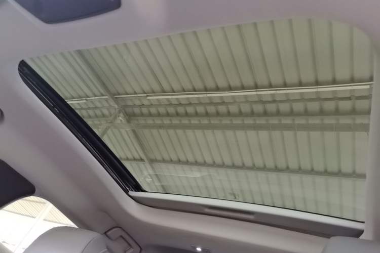 Used Citroen C5 X 2021 1.6T Flagship Edition Headliner