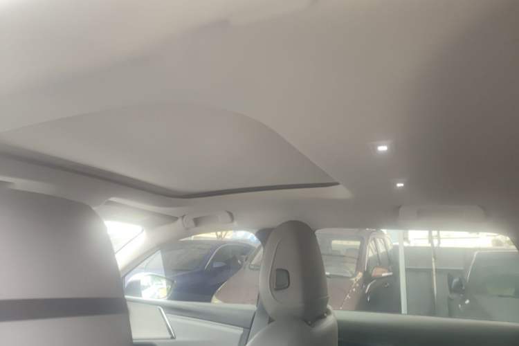 Used Citroen C5 X 2021 1.6T Flagship Edition Headliner