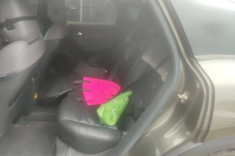 Used Citroen C5 X 2021 1.6T Flagship Edition Left Rear Seat