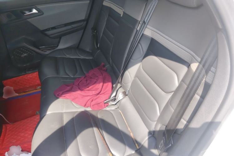 Used Citroen C5 X 2021 1.6T Flagship Edition Left Rear Seat