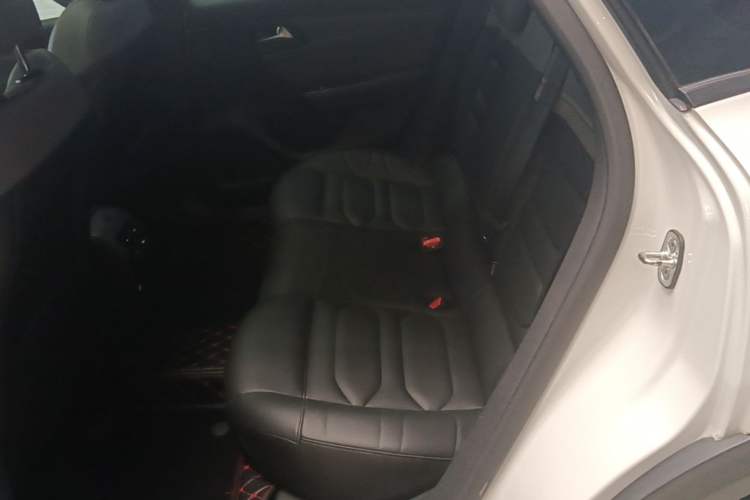 Used Citroen C5 X 2021 1.6T Enjoy the Extraordinary Left Rear Seat
