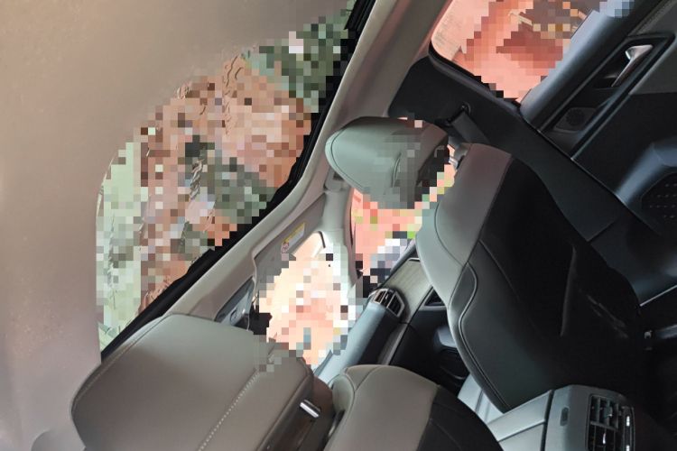Used Citroen C5 X 2022 1.6T Xiang Bufan – Year of the Tiger New Beginnings Edition Headliner