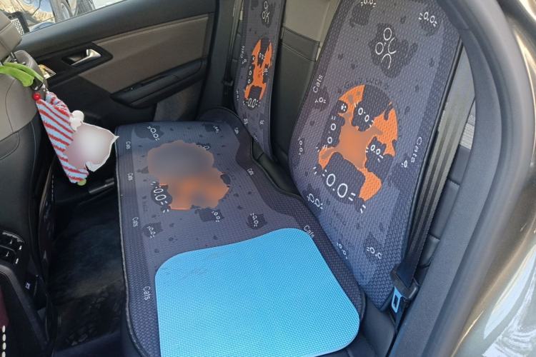 Used Citroen C5 X 2024 1.6T Enjoy the Extraordinary Left Rear Seat