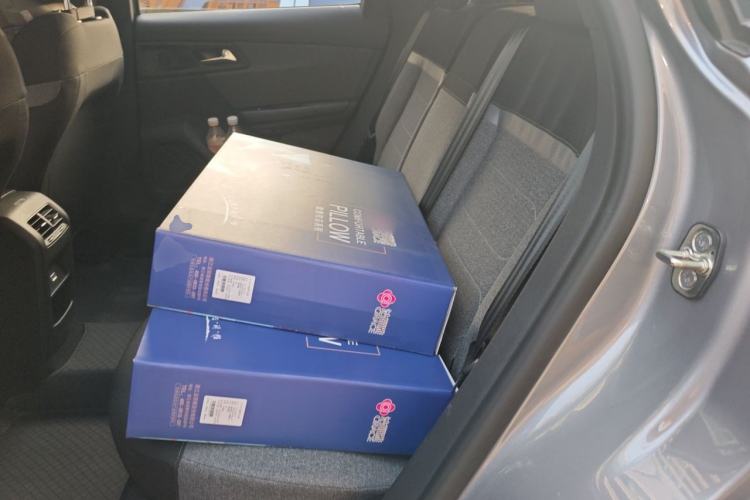 Used Citroen C5 X 2025 Model 1.6T Overseas Edition Left Rear Seat
