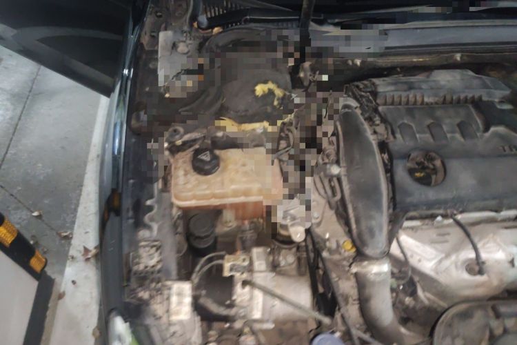 Used Citroen C6 2017 380THP Prestige Model Engine Bay Right