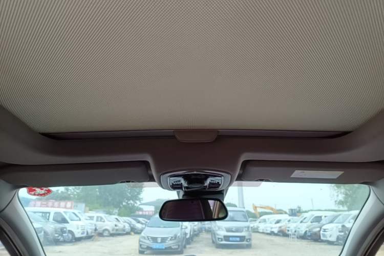 Used Citroen C6 2017 380THP Luxury Version Headliner