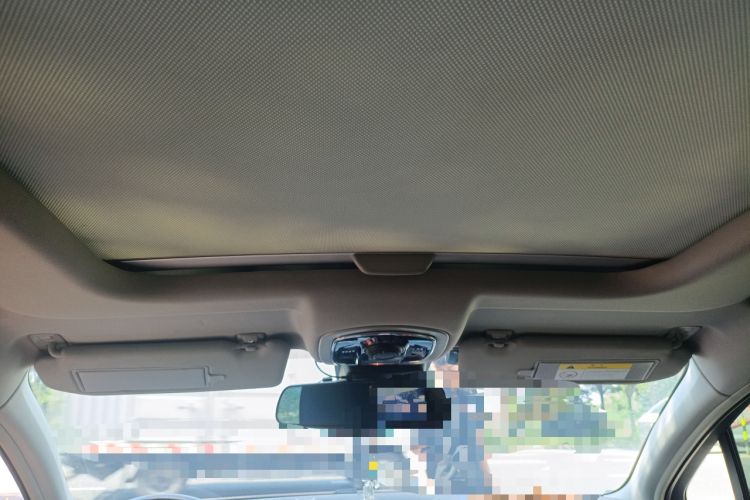 Used Citroen C6 2017 350THP Luxury Model Headliner