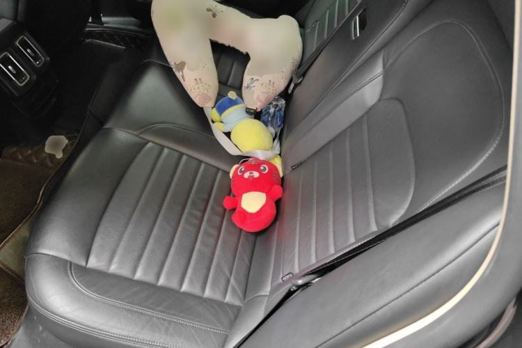 Used Citroen C6 2017 380THP Luxury Version Left Rear Seat
