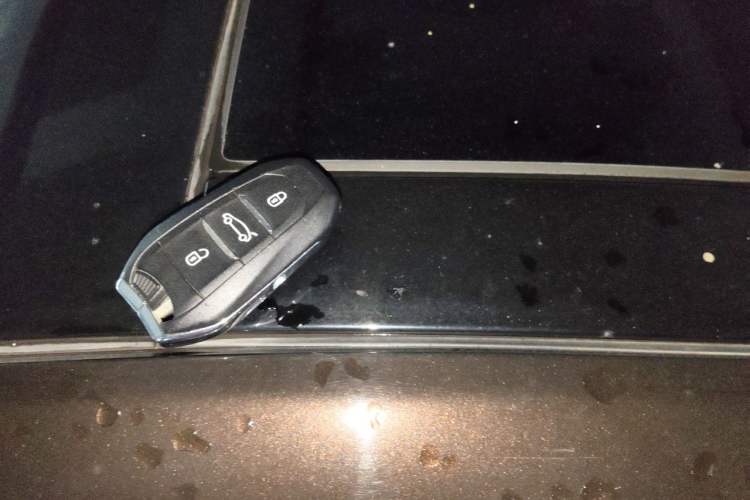 Used Citroen C6 2017 Revised Version 380THP Luxury Edition Vehicle Key