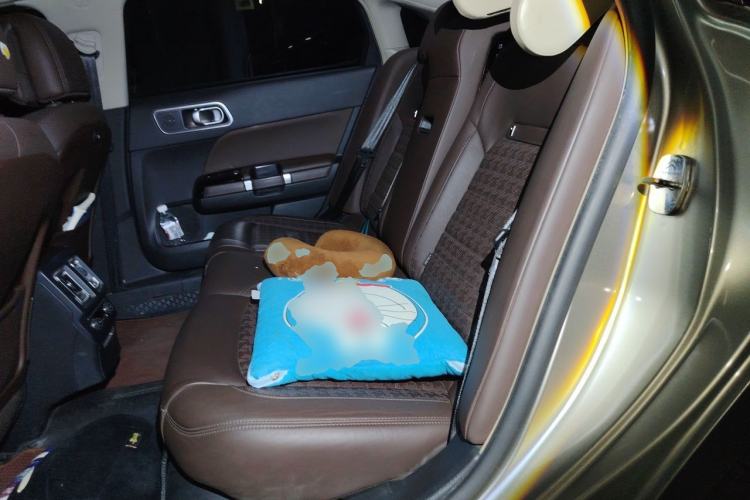 Used Citroen C6 2017 380THP Flagship Edition Left Rear Seat