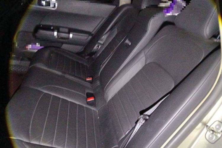 Used Citroen C6 2017 380THP Luxury Version Left Rear Seat