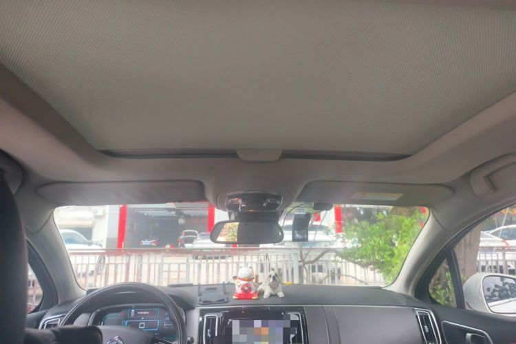 Used Citroen C6 2017 380THP Luxury Version Headliner