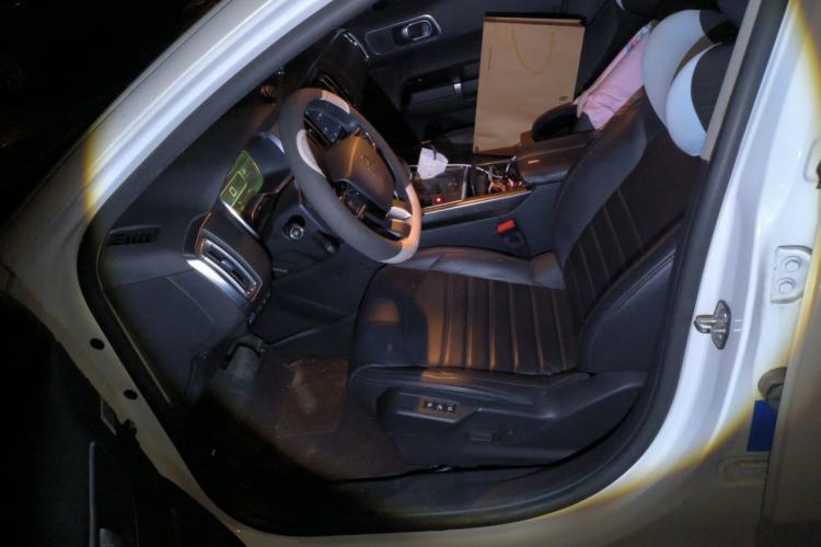 Used Citroen C6 2017 380THP Luxury Version Left Front Seat