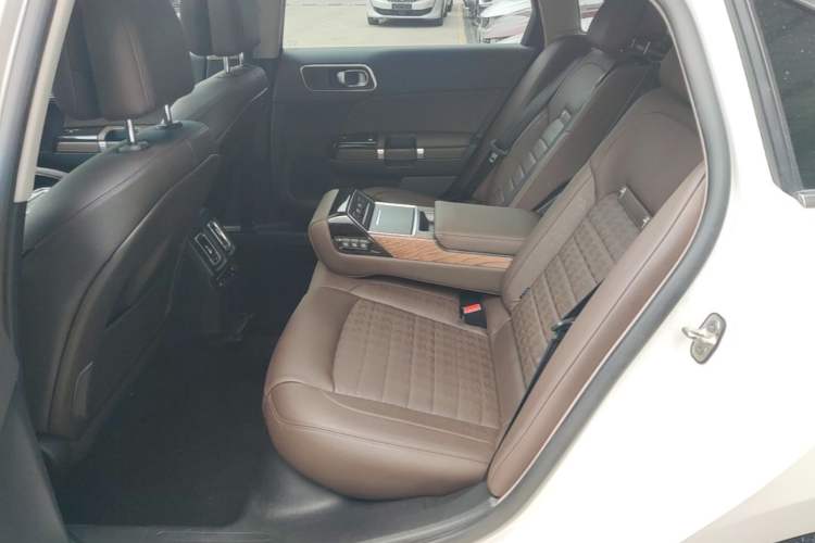 Used Citroen C6 2017 380THP Flagship Edition Left Rear Seat